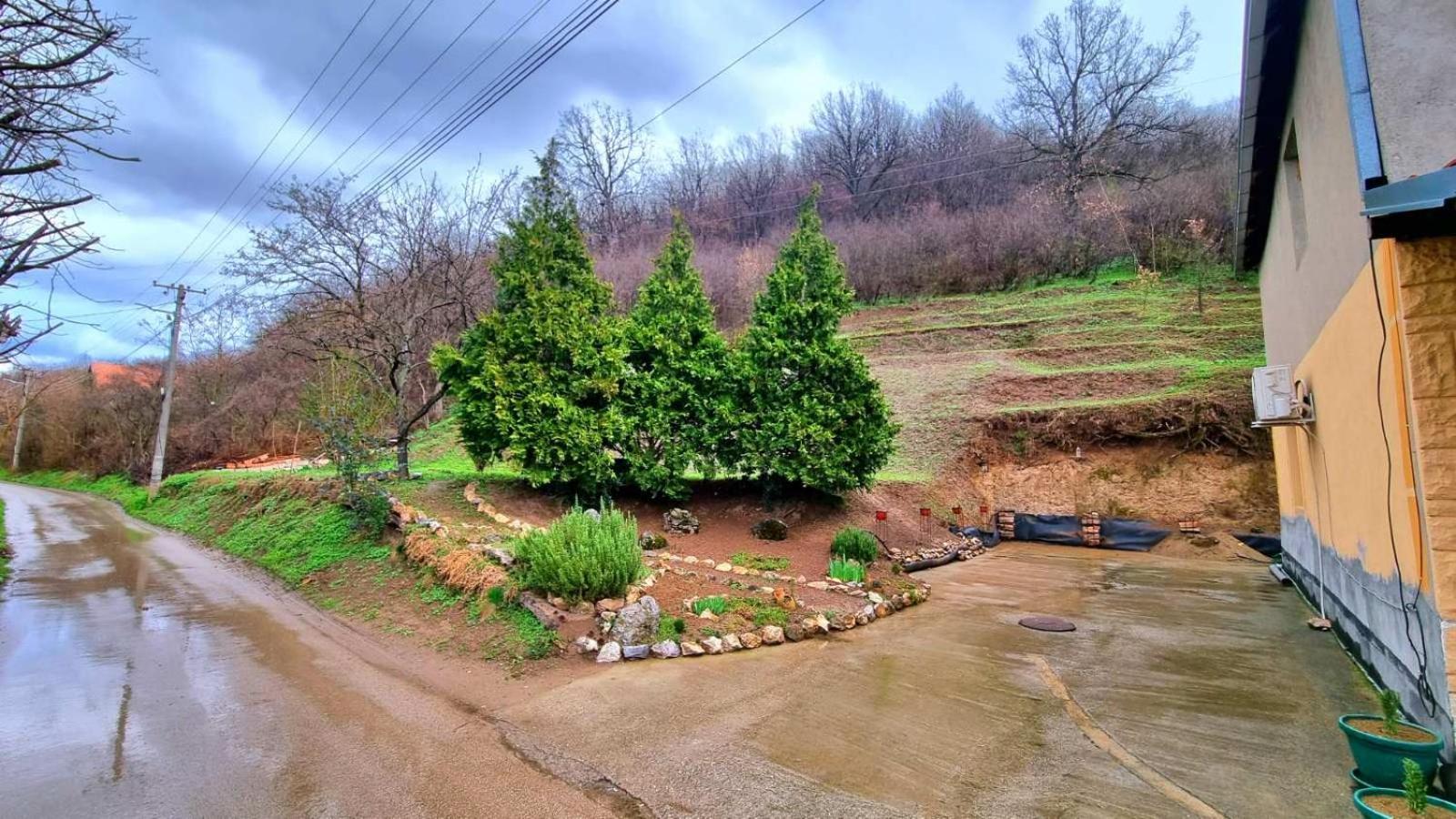 "Luxury Country House" Nis-Niska Banja Εξωτερικό φωτογραφία